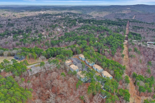 view of bird's eye view