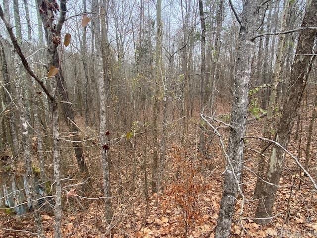 LOT77 Mustang Dr, Clinton AR, 72031 land for sale