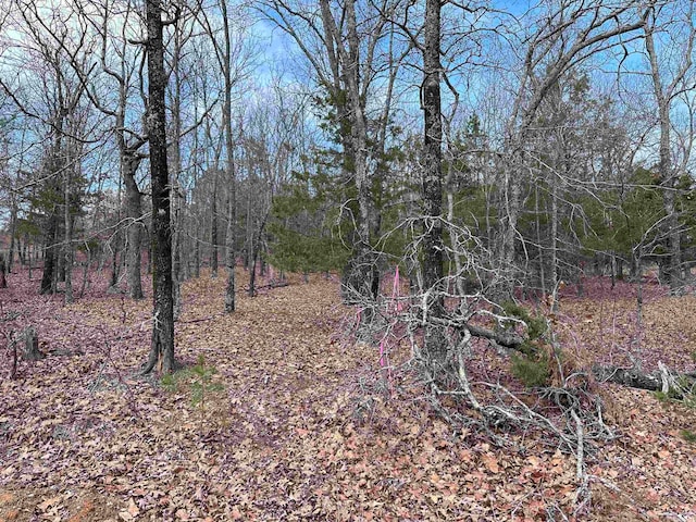 LOT33 S Bluff Dr, Quitman AR, 72131 land for sale