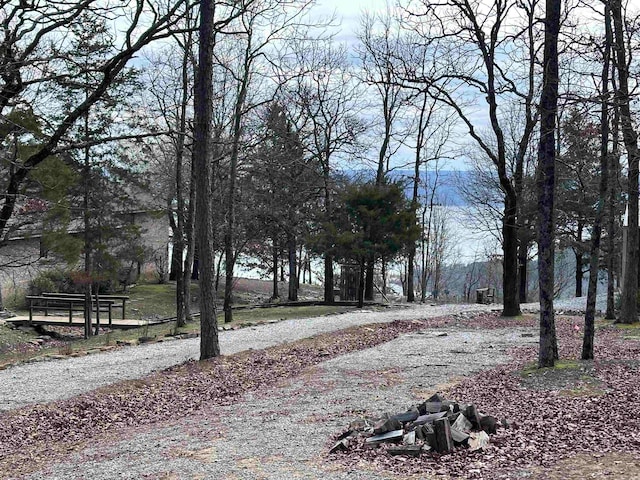 Listing photo 2 for LOT33 S Bluff Dr, Quitman AR 72131