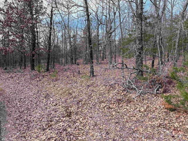 Listing photo 3 for LOT33 S Bluff Dr, Quitman AR 72131