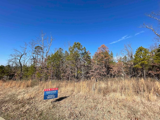 17110 Waterview Mdw, Roland AR, 72135 land for sale