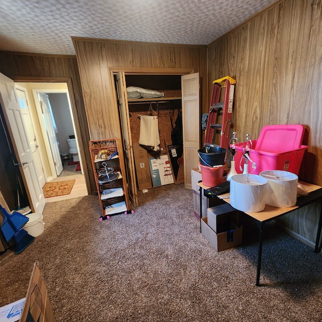 interior space featuring wood walls and carpet flooring