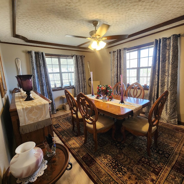 dining room with ceiling fan, a textured ceiling, and crown molding