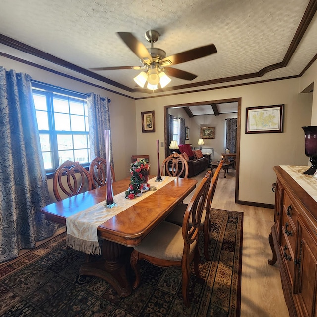 dining space with ceiling fan, crown molding, light wood-type flooring, and a textured ceiling