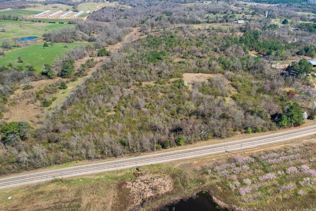 Listing photo 3 for TBD Highway 71 N, Gillham AR 71841