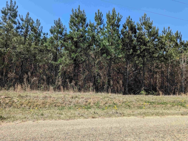 Listing photo 2 for 6.51ACRES Ouachita 5, Stephens AR 71764