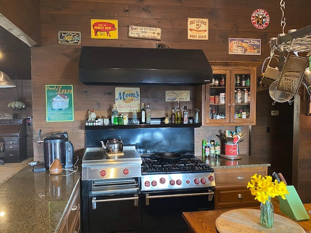 interior space with dark stone counters, wood walls, and extractor fan