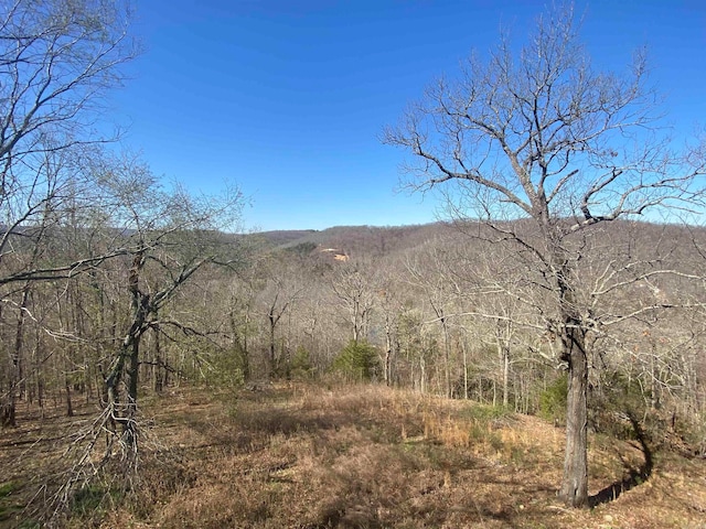 view of mountain view