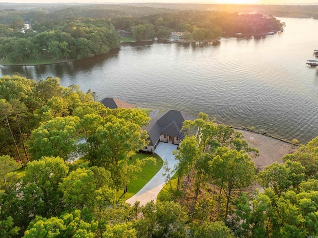 aerial view with a water view and a forest view