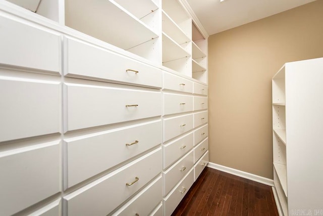 spacious closet with dark hardwood / wood-style floors