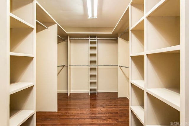 walk in closet featuring dark hardwood / wood-style floors