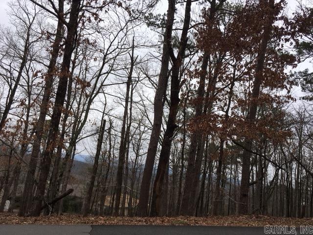 2 Medina Way, Hot Springs Village AR, 71909 land for sale