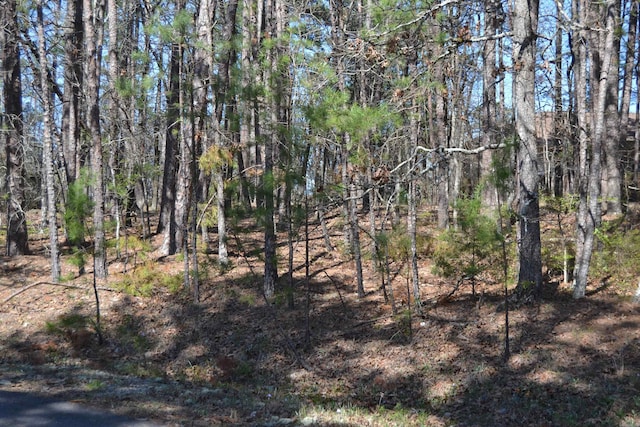 Address Not Disclosed, Hot Springs Village AR, 71909 land for sale