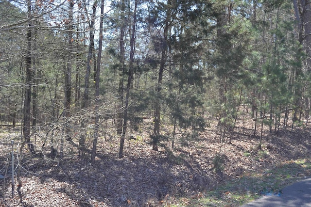 Address Not Disclosed, Hot Springs Village AR, 71909 land for sale