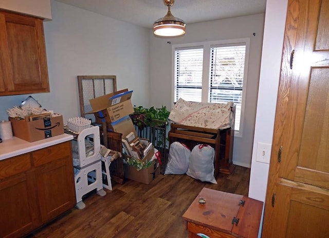 interior space with dark hardwood / wood-style flooring