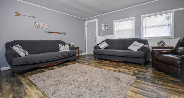 living room featuring crown molding and dark hardwood / wood-style flooring