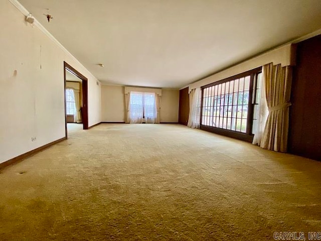 carpeted empty room with ornamental molding