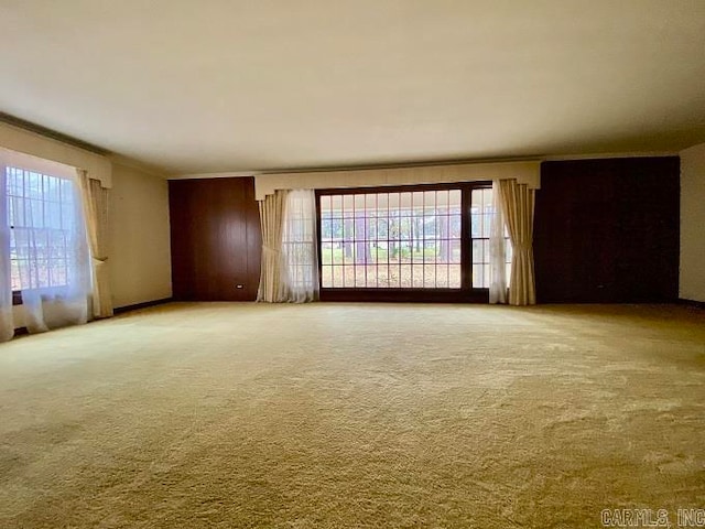 carpeted spare room featuring ornamental molding and a wealth of natural light