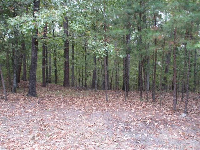 2 Princesa Trce, Hot Springs Village AR, 71909 land for sale