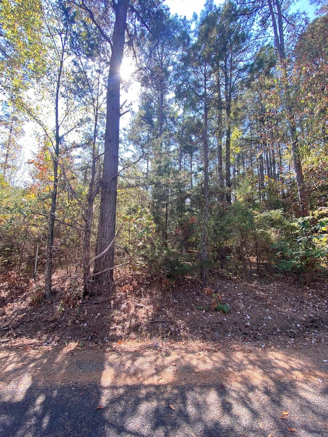 Listing photo 2 for 000 Twin Cvs, Greers Ferry AR 72067