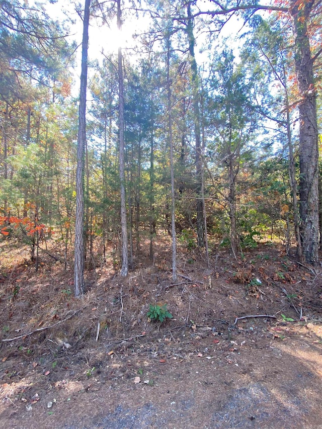 Listing photo 3 for 000 Twin Cvs, Greers Ferry AR 72067