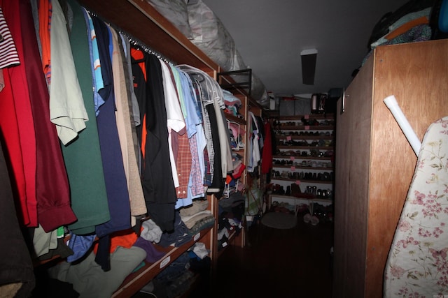 view of walk in closet