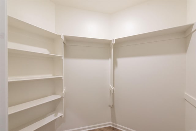 spacious closet with hardwood / wood-style floors