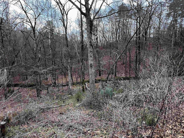 Listing photo 2 for 186 Hideaway Hills Dr, Hot Springs AR 71901