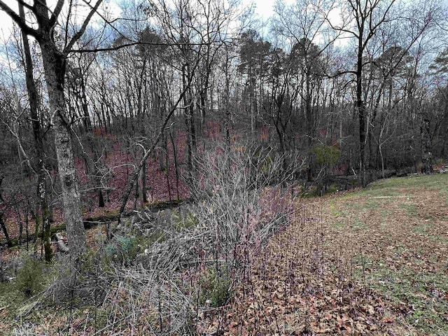 Listing photo 3 for 186 Hideaway Hills Dr, Hot Springs AR 71901