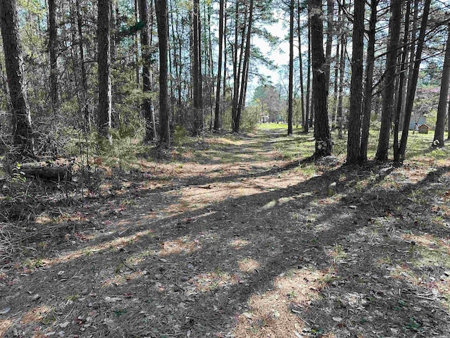 Listing photo 2 for LOT18 Panther Valley Dr, Drasco AR 72530