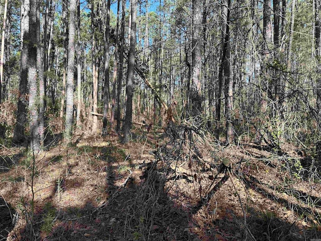 Listing photo 3 for LOT18 Panther Valley Dr, Drasco AR 72530