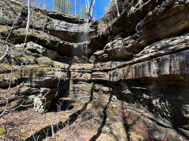 view of local wilderness