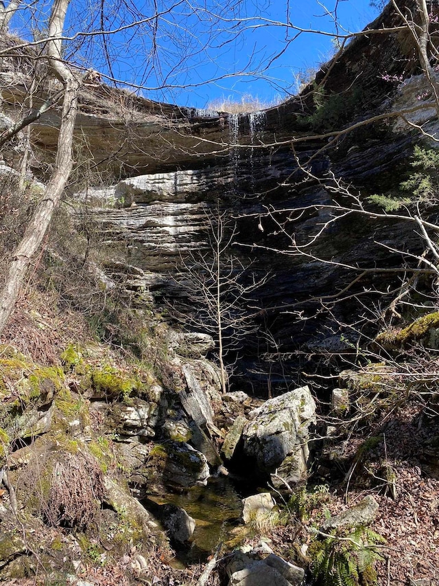 view of local wilderness with a water view