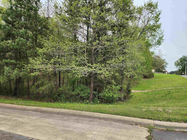 Listing photo 2 for LOT11 Timber Hls, El Dorado AR 71730