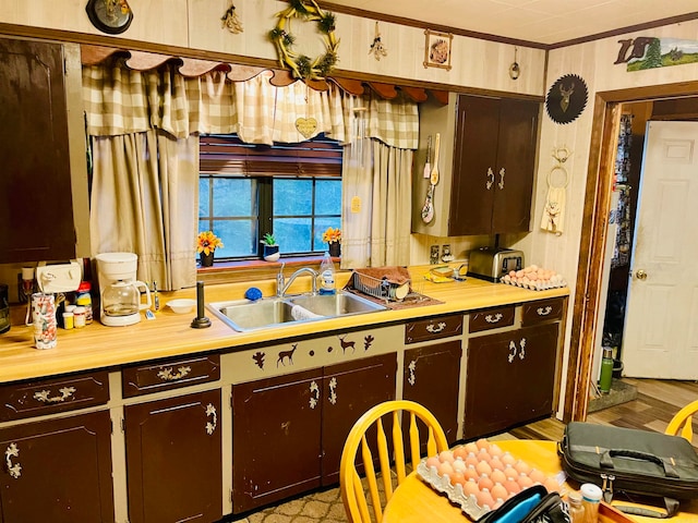 kitchen featuring light wood-type flooring, crown molding, sink, and dark brown cabinetry