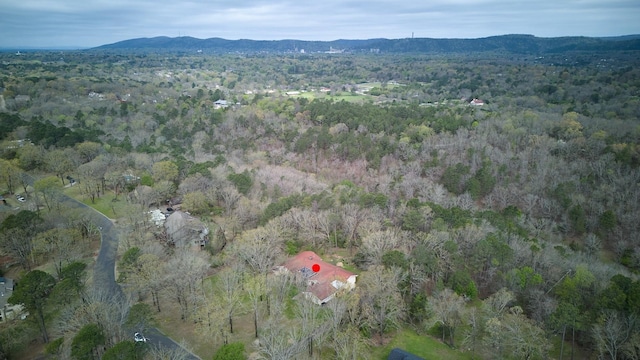 drone / aerial view featuring a mountain view