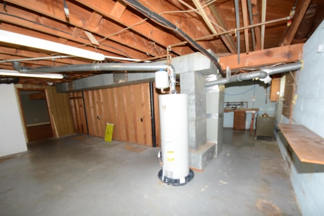 basement featuring water heater