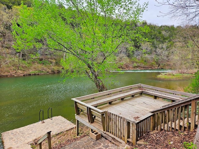 dock area with a water view