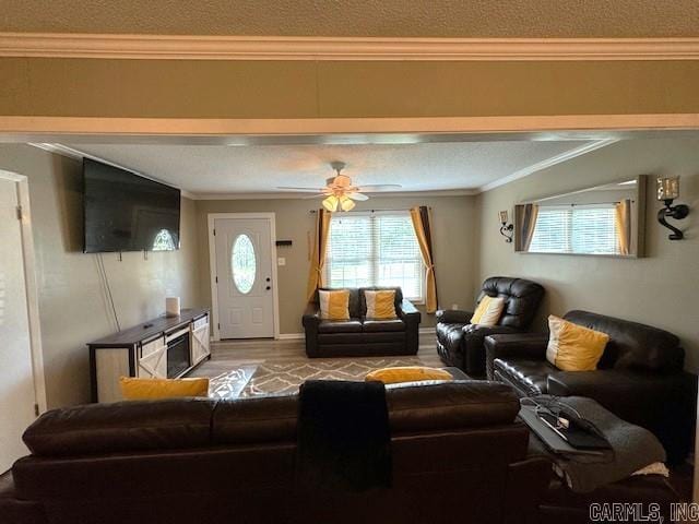 living room with hardwood / wood-style floors, a textured ceiling, ceiling fan, and ornamental molding