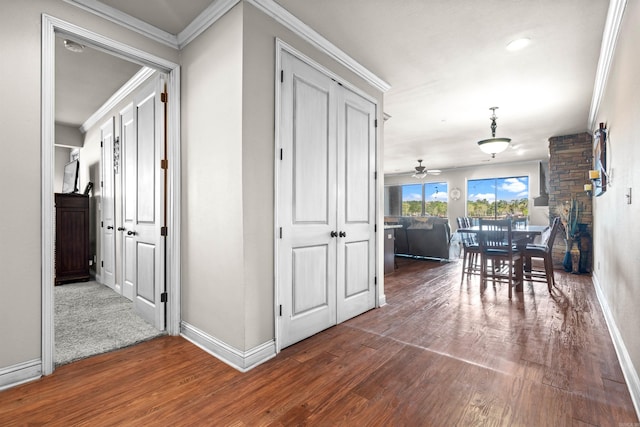 hall featuring dark hardwood / wood-style flooring and ornamental molding