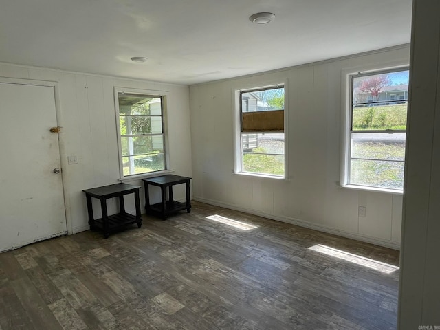 spare room featuring dark wood-type flooring and a wealth of natural light