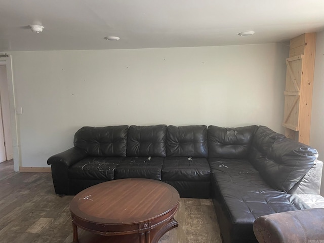 living room featuring dark hardwood / wood-style floors