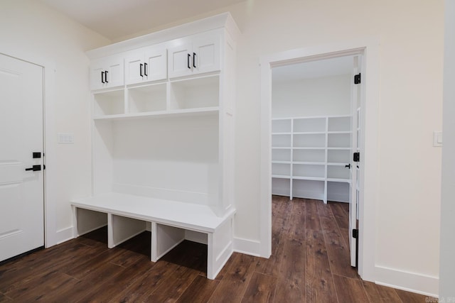 mudroom with dark hardwood / wood-style flooring