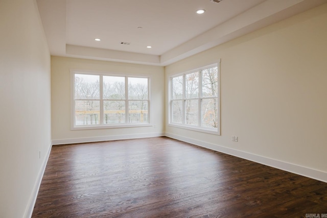 unfurnished room featuring dark wood-type flooring