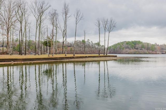 view of water feature