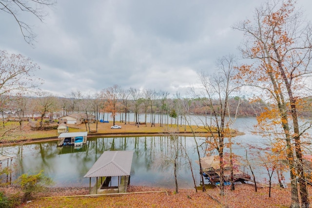 dock area with a water view