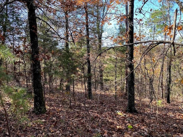 Listing photo 2 for Foster Cemetery Rd, Scotland AR 72141