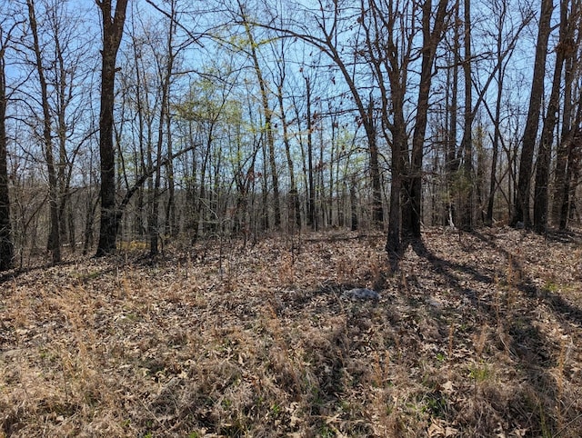 TBD Wuthering Heights Dr, Ash Flat AR, 72513 land for sale