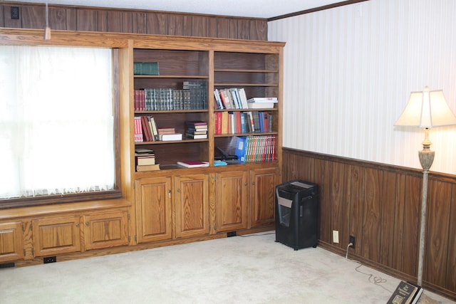 interior space with light carpet and wooden walls